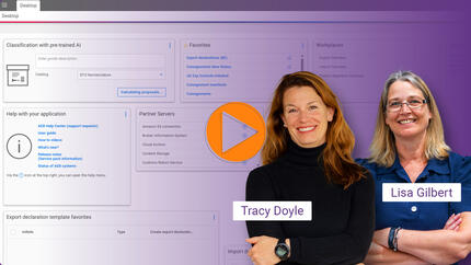 How to beat the cross-border e-commerce customs rush. The Webinar.